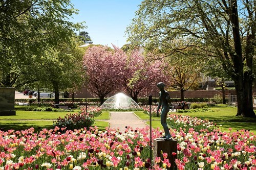 Lysekils vackra stadspark någon minut bort