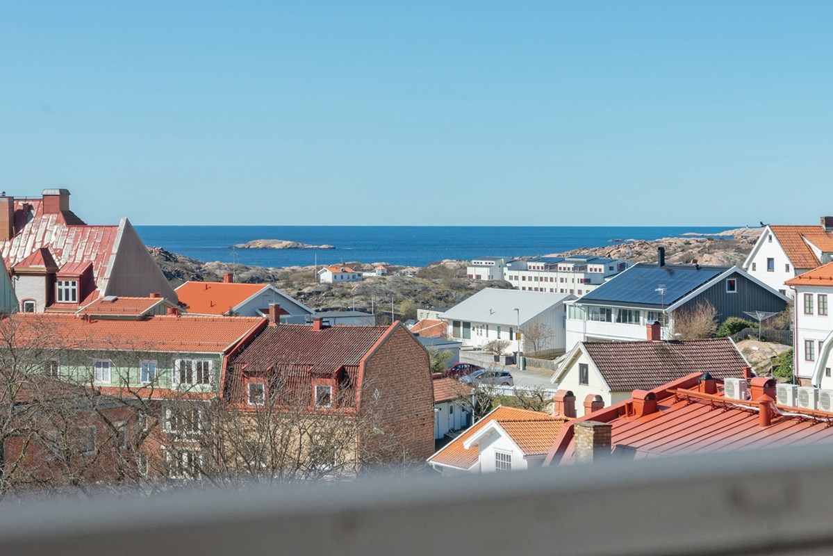 Fri utsikt över takåsar och hav, ända till horisonten