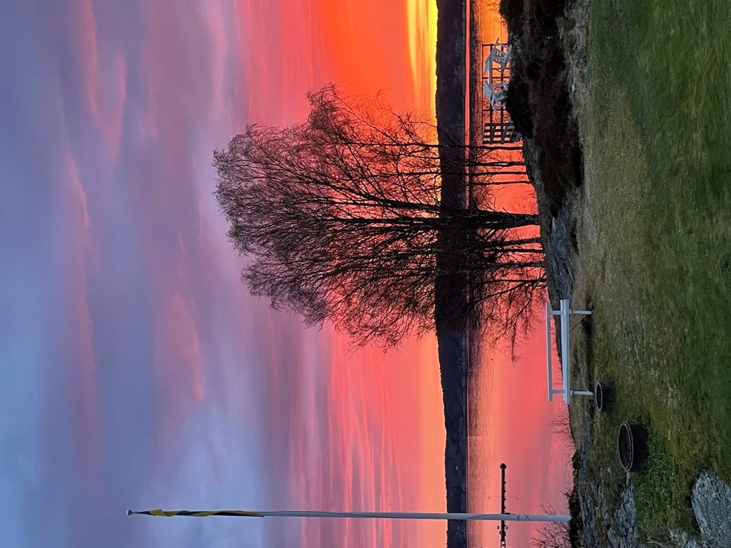 Säljarens bild