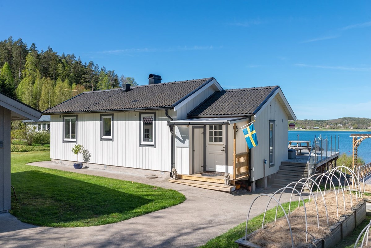 Röe 550 -  i en magiskt vacker miljö