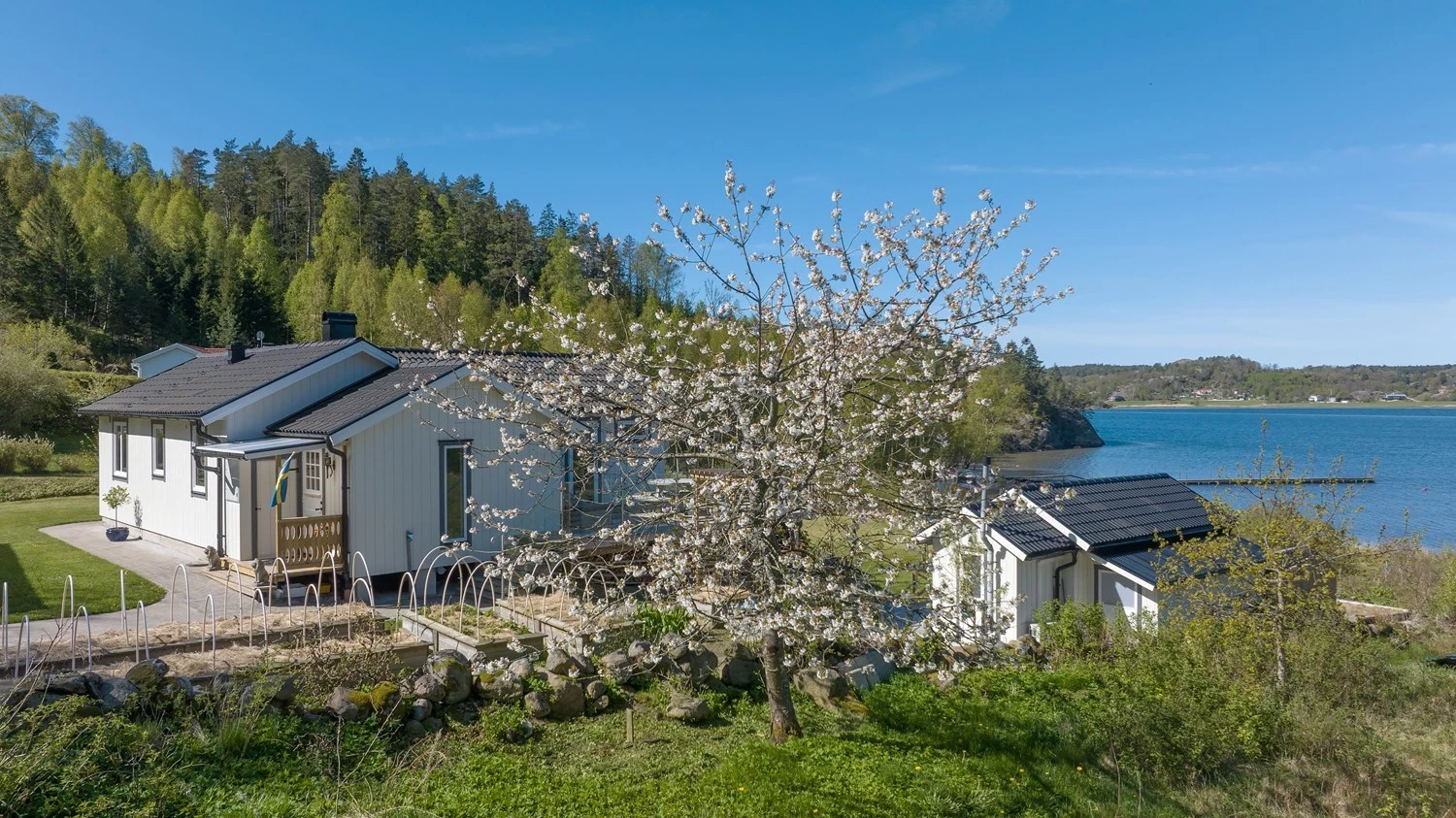 Röe 550 Härnäset