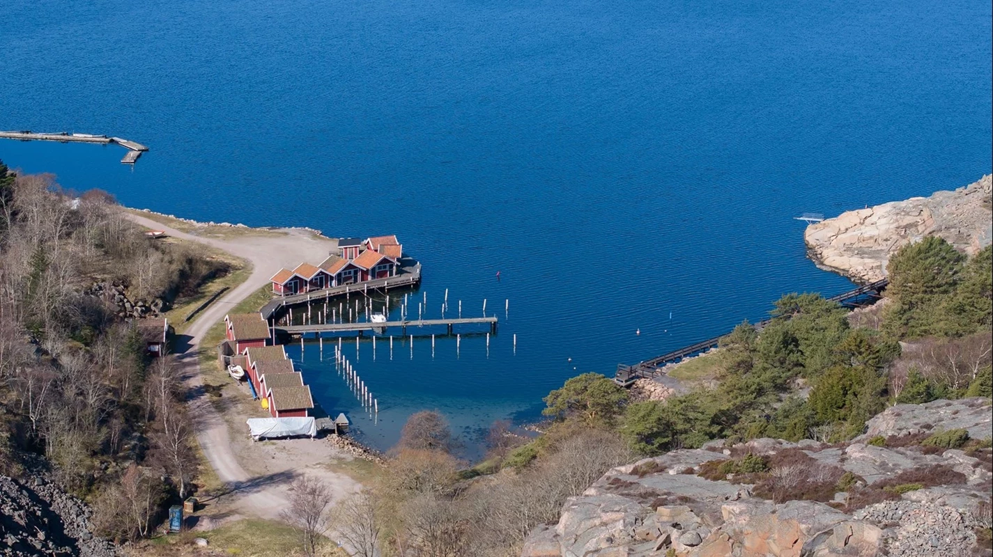 I fågelvikens hamn