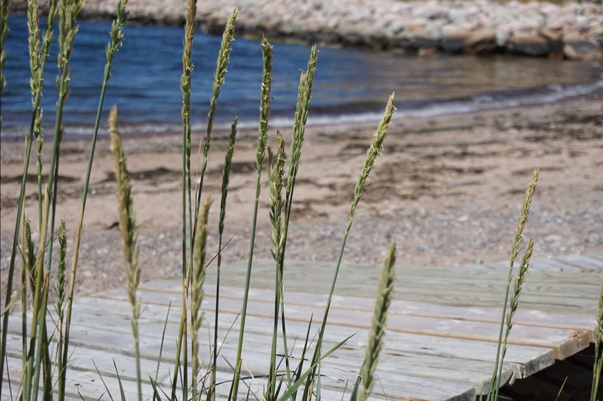 Områdesbild Lysekil