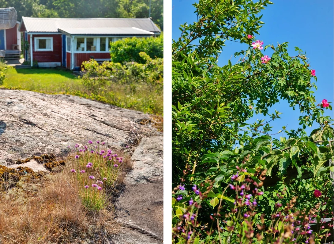 En mycket fin naturtomt