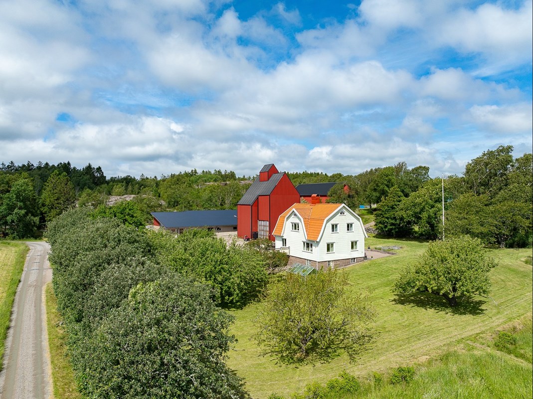 Lantliga gröna omgivningar