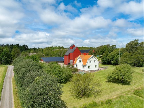 Lantliga gröna omgivningar