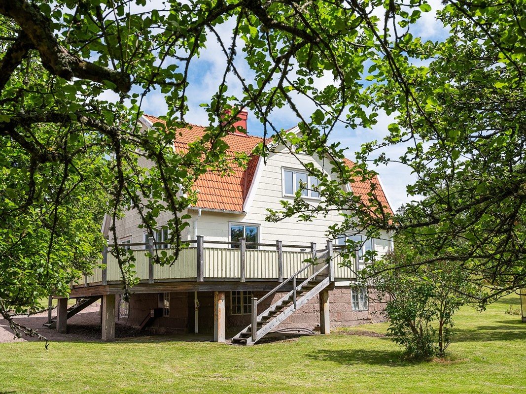 Lummig sommarträdgård