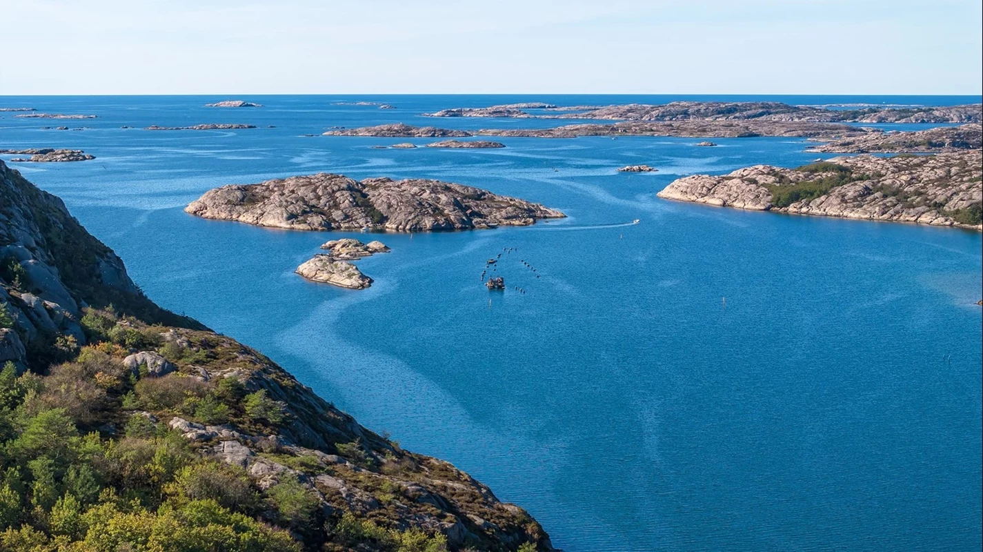 Områdesbild, Trälebergs kile