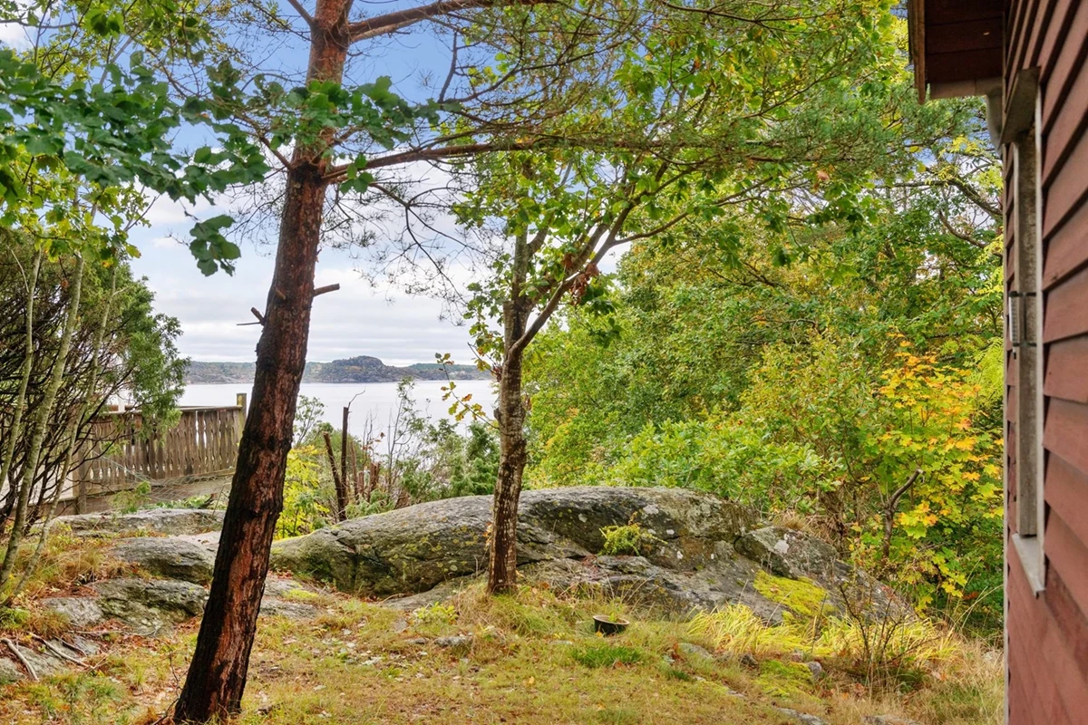 Vacker utsikt från huset och tomten