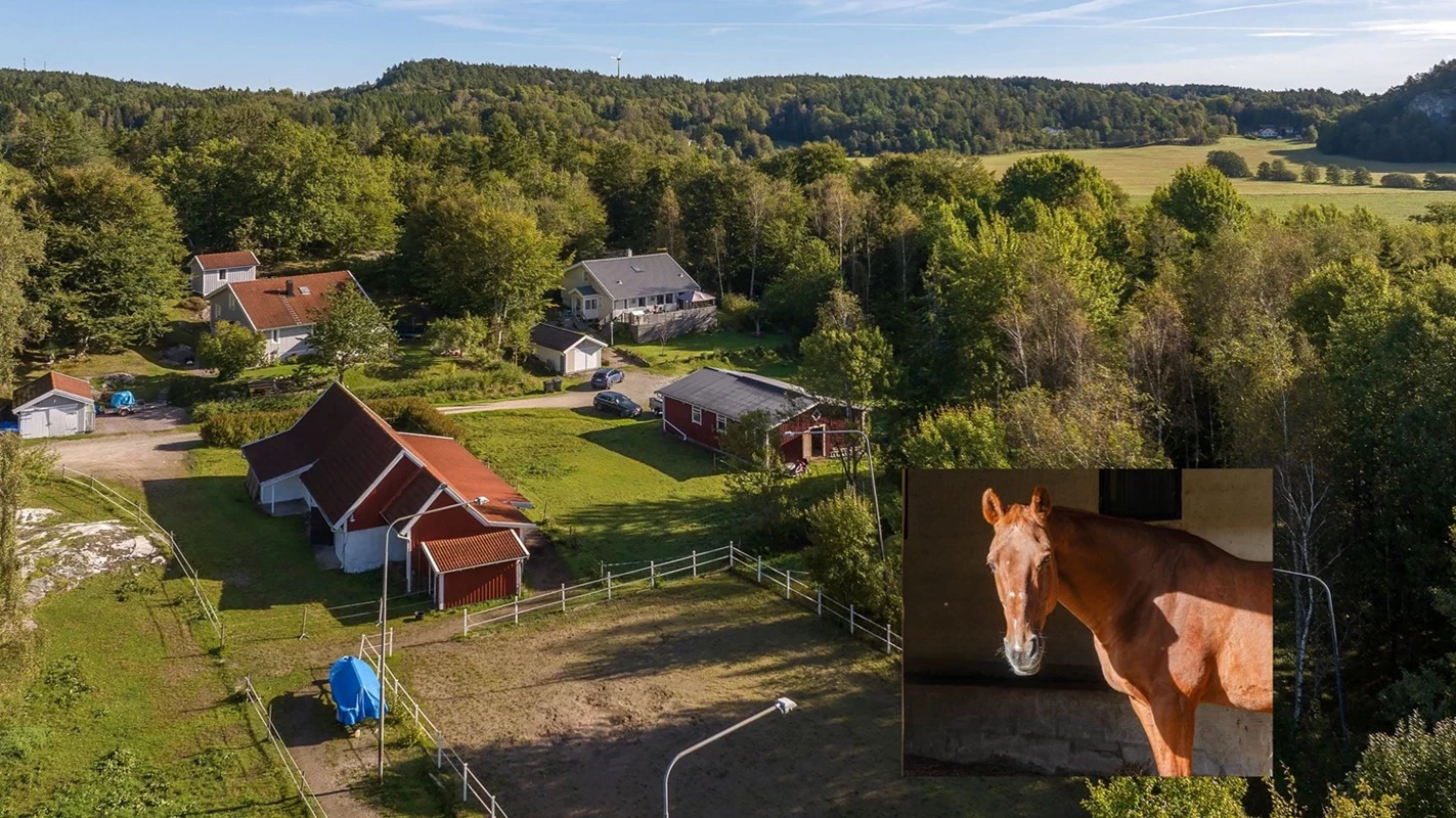 Platsen för dig som vill leva nära djur och natur