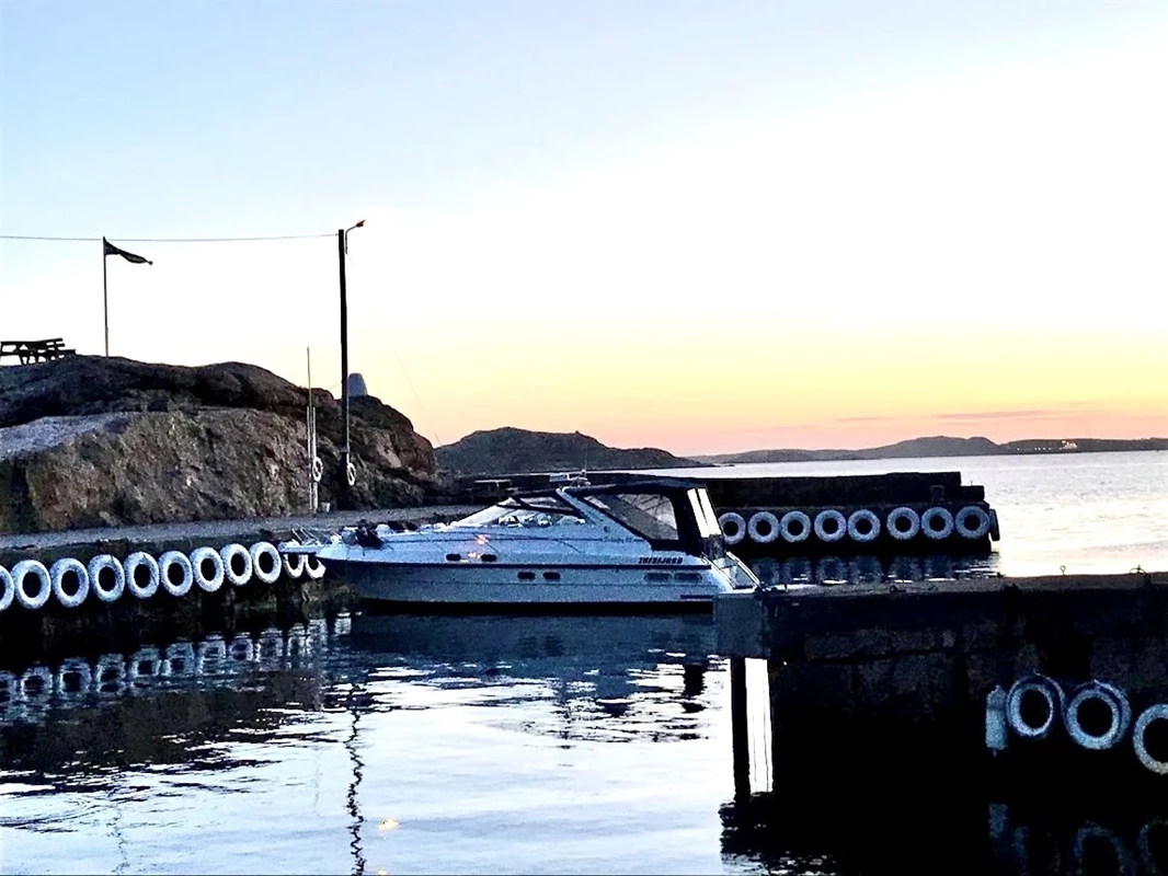 Hamnen kväll