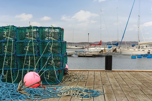 Områdesbild Norra Hamnen