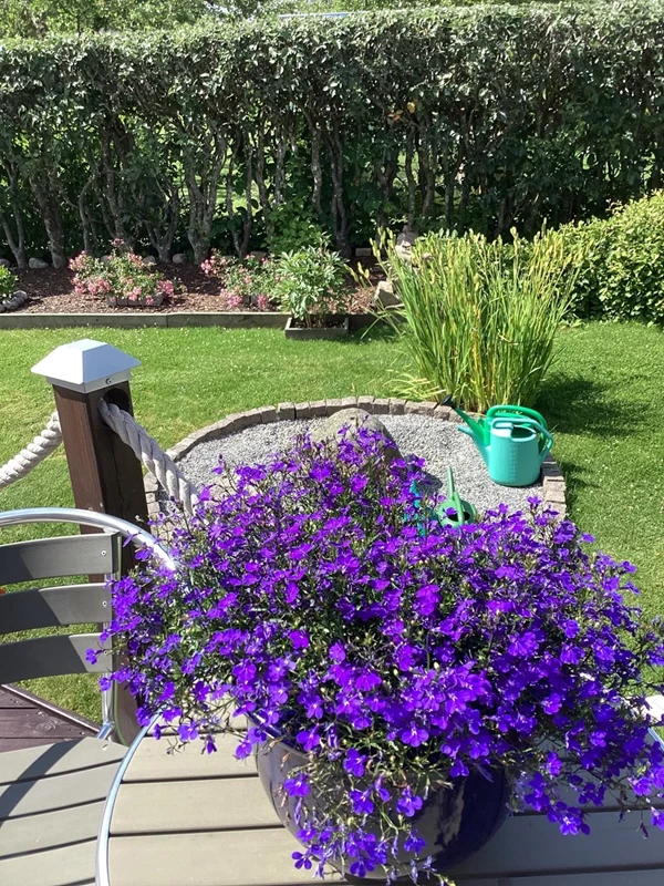 Säljarens egna sommarbild