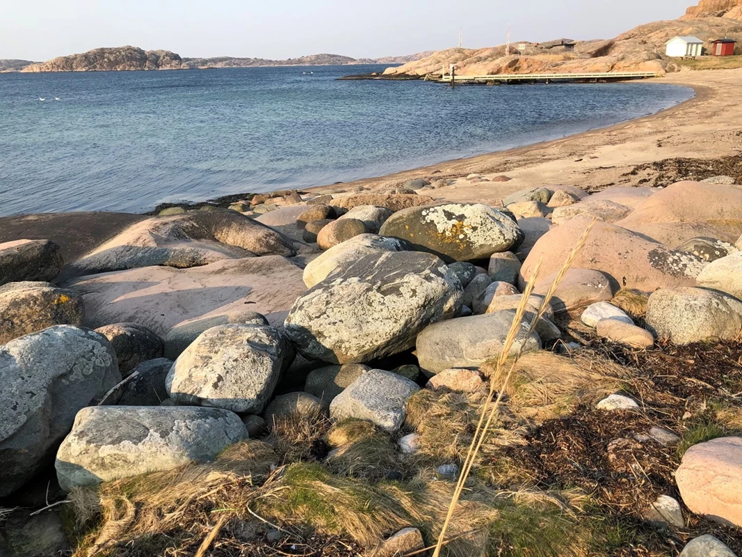 Områdesbild - Kolleröds badplats