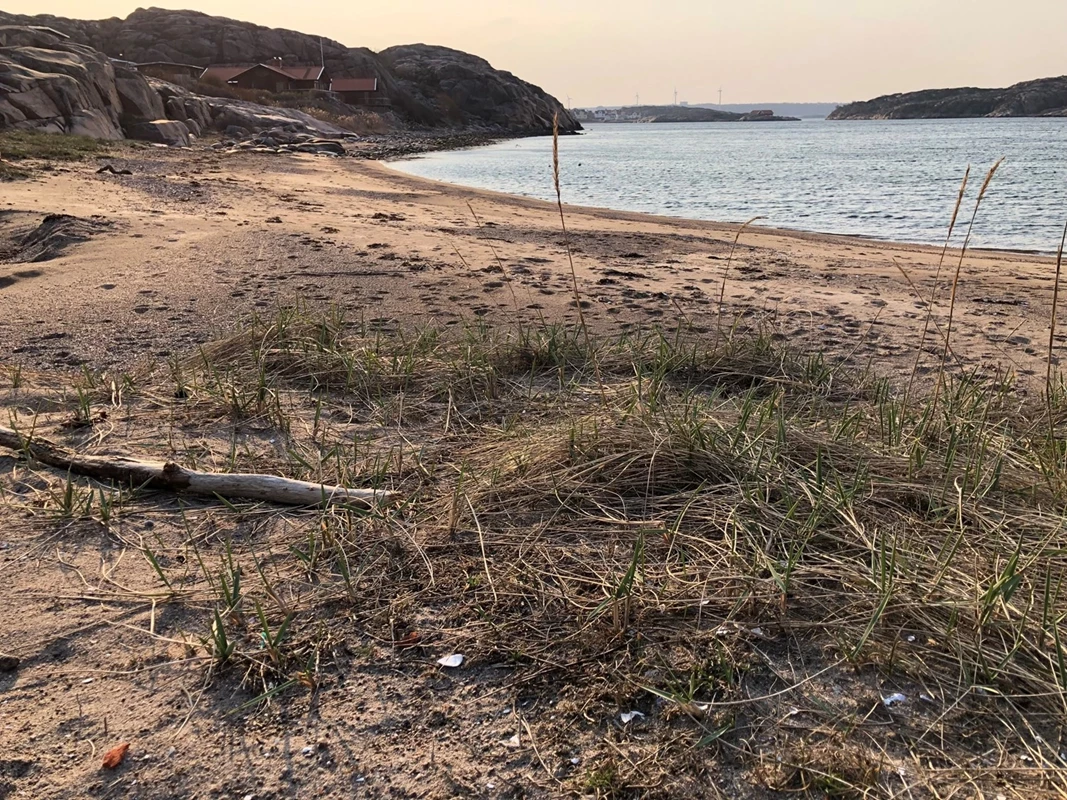 Områdesbild - Kolleröds badplats