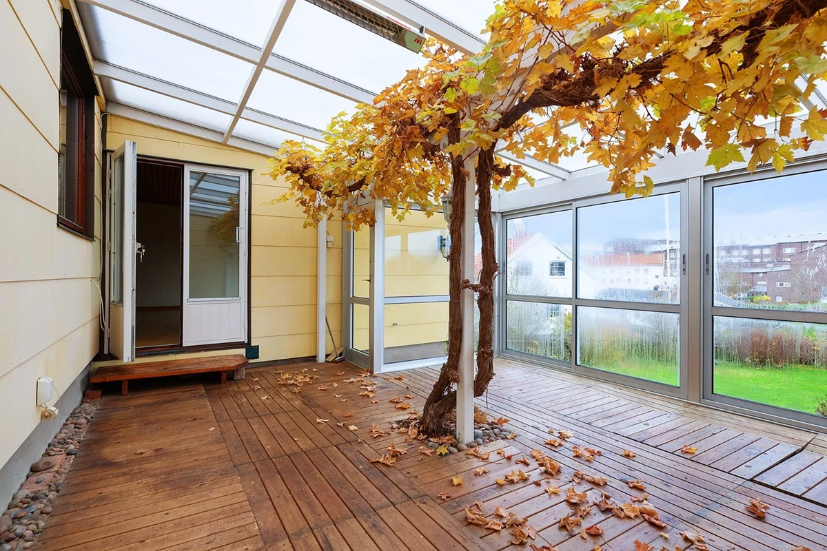 Ett riktigt fint uterum med en 40-årig vinranka i mitten!