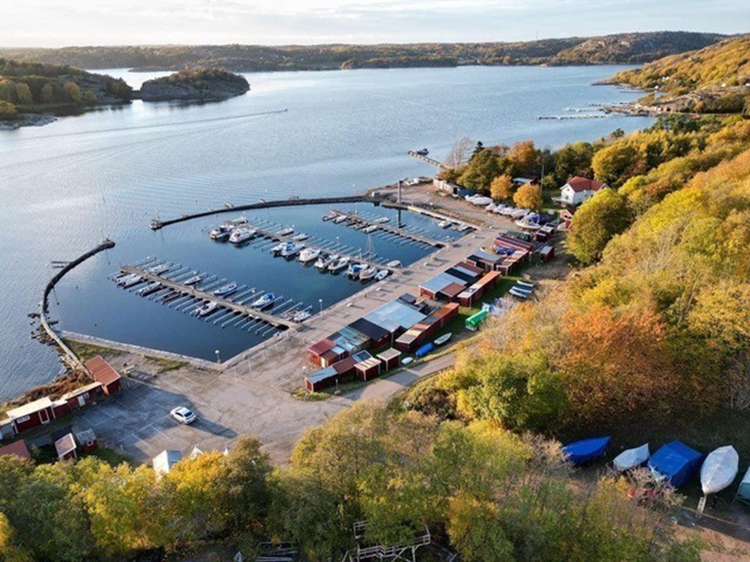 Hamnen sommartid (säljarens privata bild)