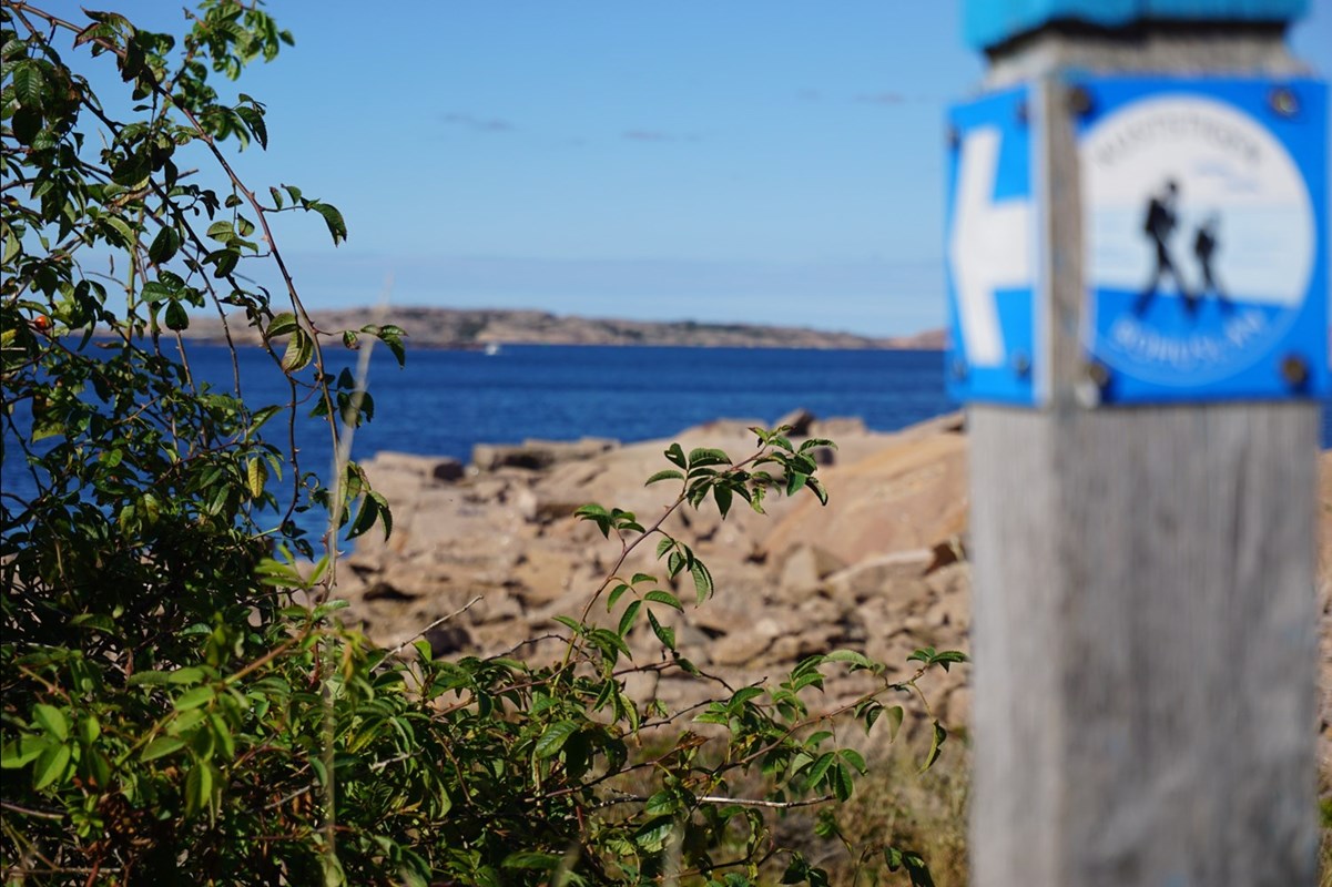 Områdesbild Lysekil