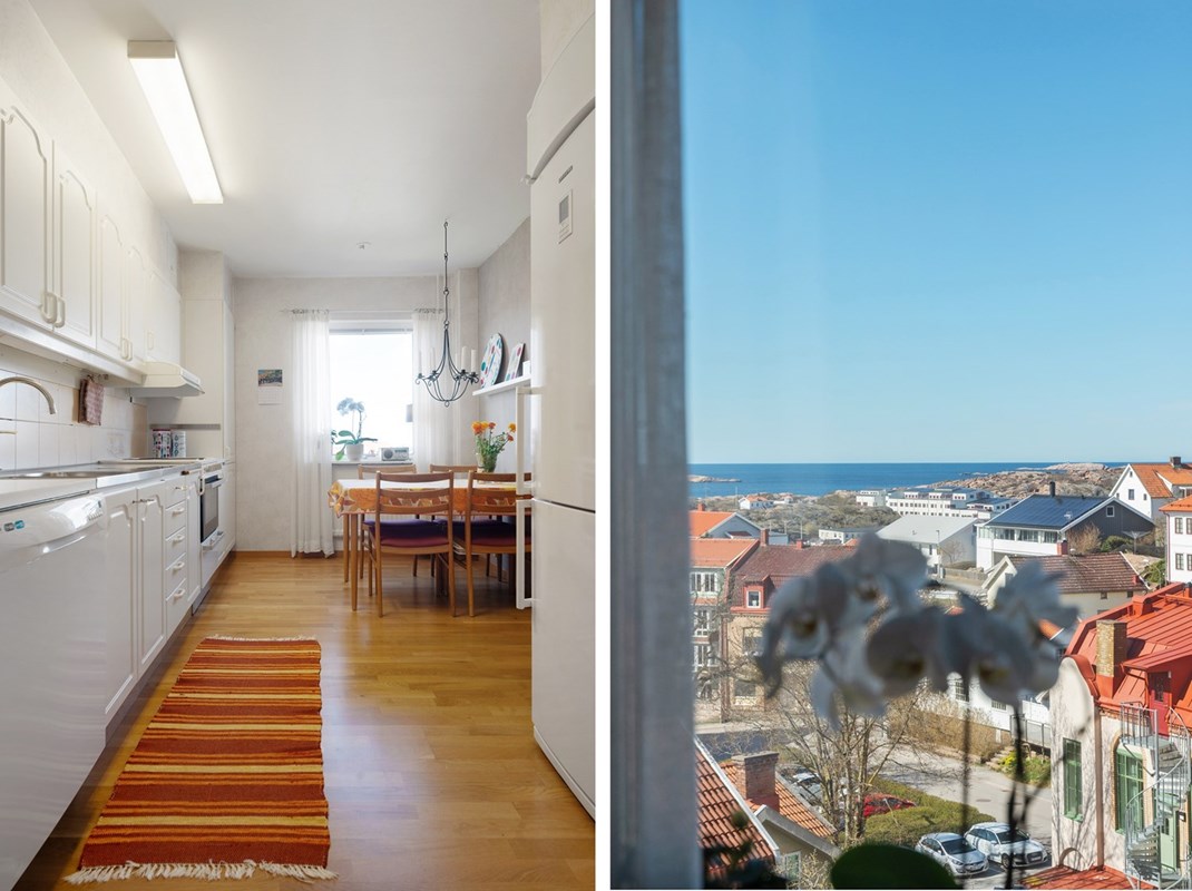 Fin utsikt från köksfönstret