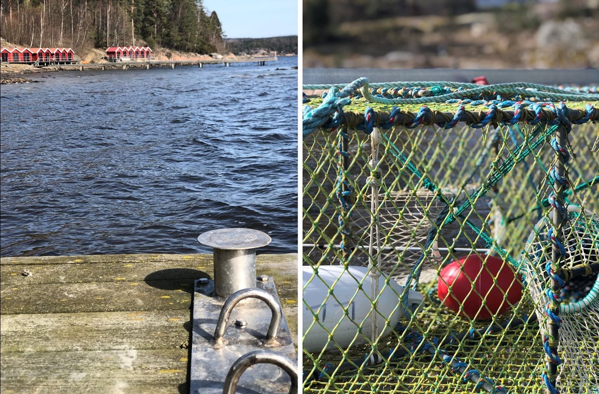 Områdesbild - Barkedals badplats