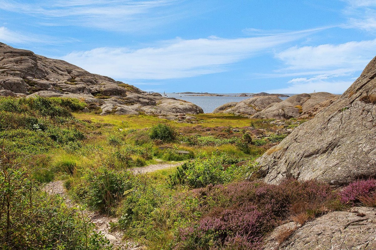 Fortsätt från tomten och du når fantastiska klippbad