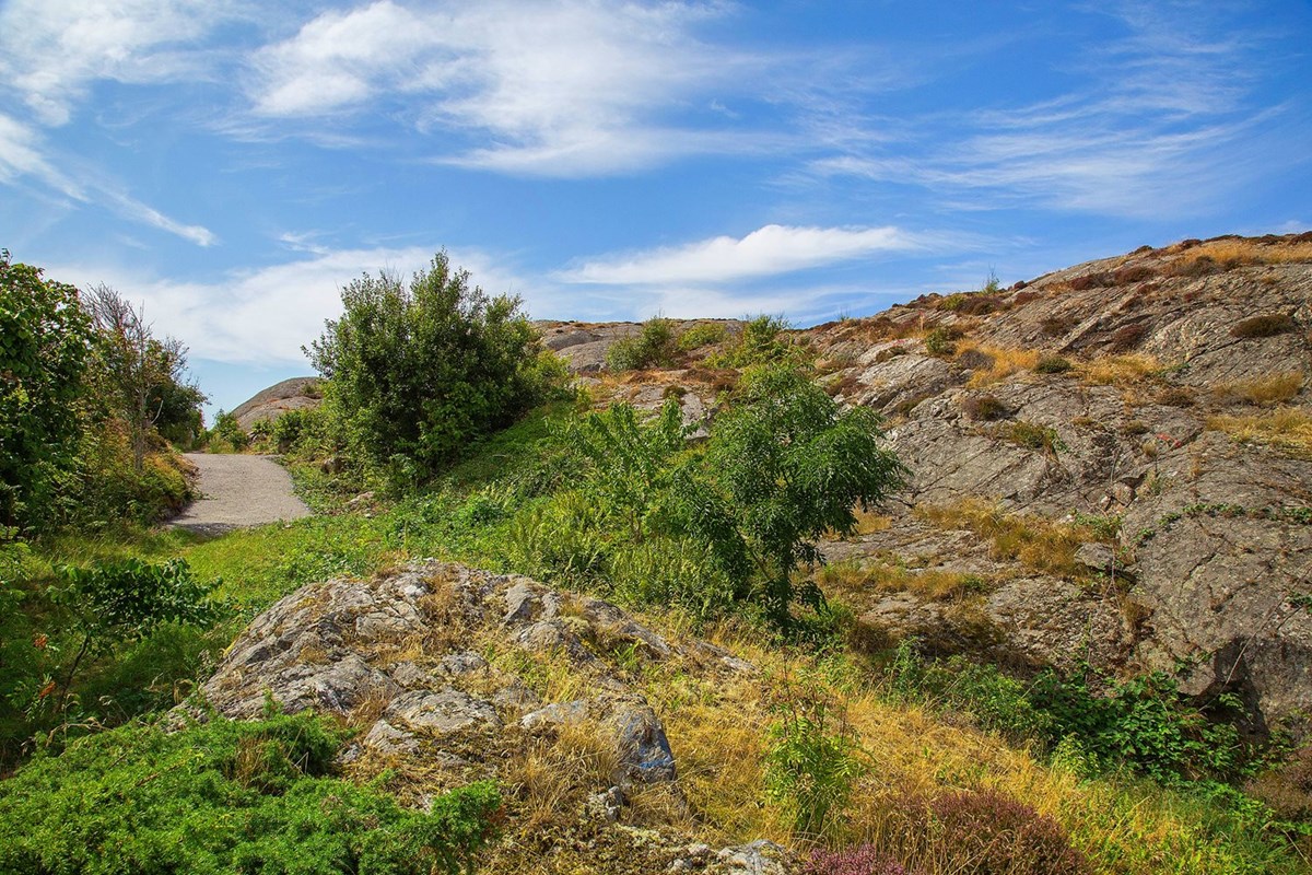 Tomten och kringliggande natur är makalöst vacker