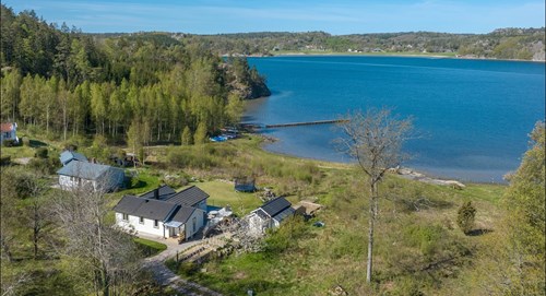 Röe 550 -  i en magiskt vacker miljö