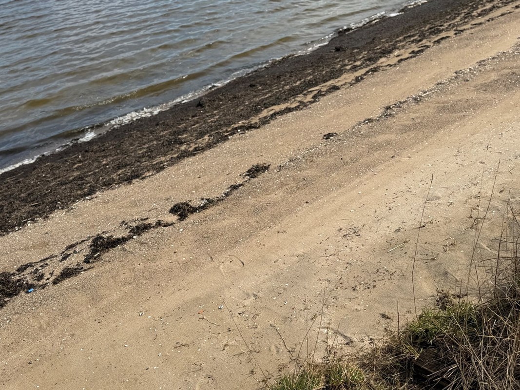 Fin barnvänlig strand