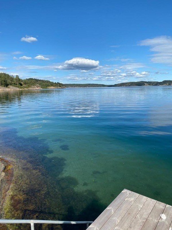 Gullmaren är känd för sina färgskiftningar