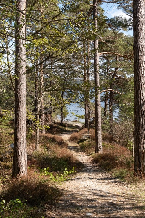 Följ stigen till badplatsen