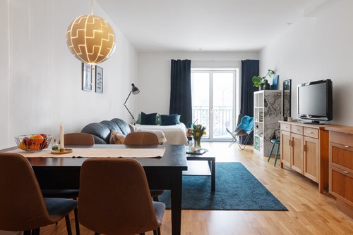 Rymlig etta med bra plats för var sak; kök, vardagsrum och sovdel